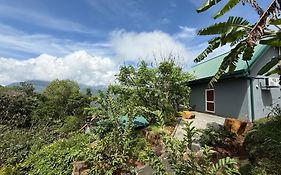 Dolape Villa